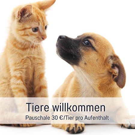 Rosmarin - Kuschelige Fewo - Romantik & Entspannung Im Whirlpool Auf Privater Terrasse, Ruhe & Hund Willkommen - By Ferienwohnenamsee - 위버링겐 외부 사진