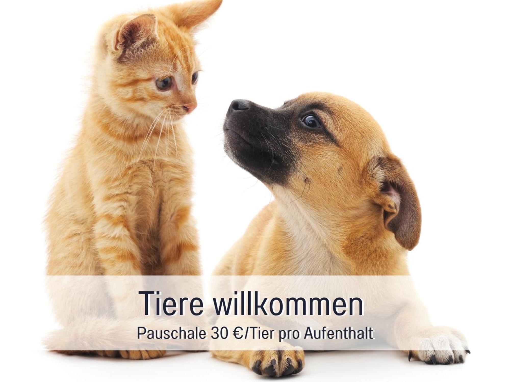 Rosmarin - Kuschelige Fewo - Romantik & Entspannung Im Whirlpool Auf Privater Terrasse, Ruhe & Hund Willkommen - By Ferienwohnenamsee - 위버링겐 외부 사진
